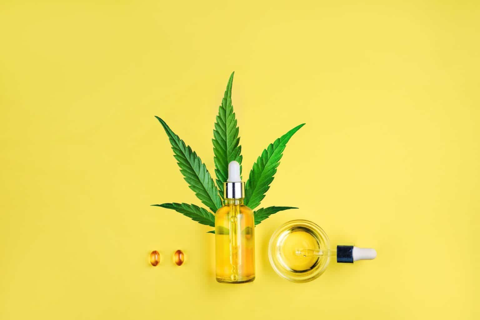 CBG vs CBD Understanding the Differences and Benefits - WorldHealth.net